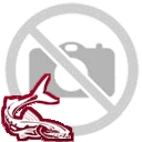no photo